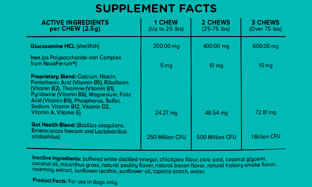 Supplement facts label with active and inactive ingredients on a teal background